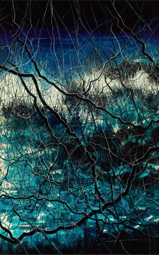 Zeng Fanzhi: Parcours